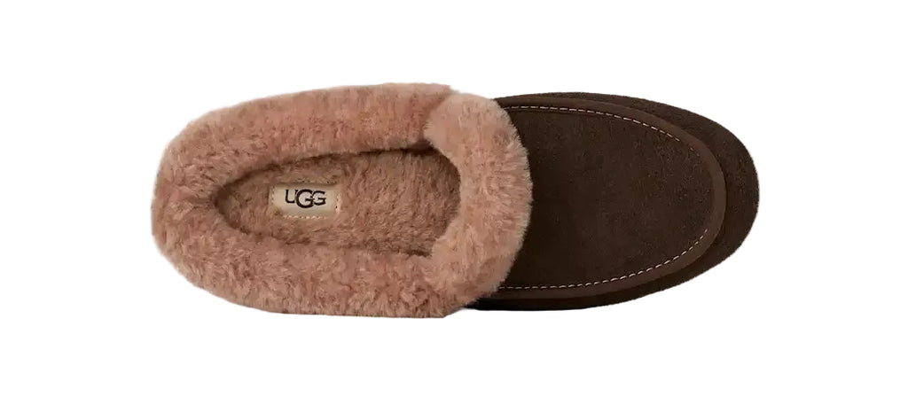 UGG Ansley Mule dusted cocoa